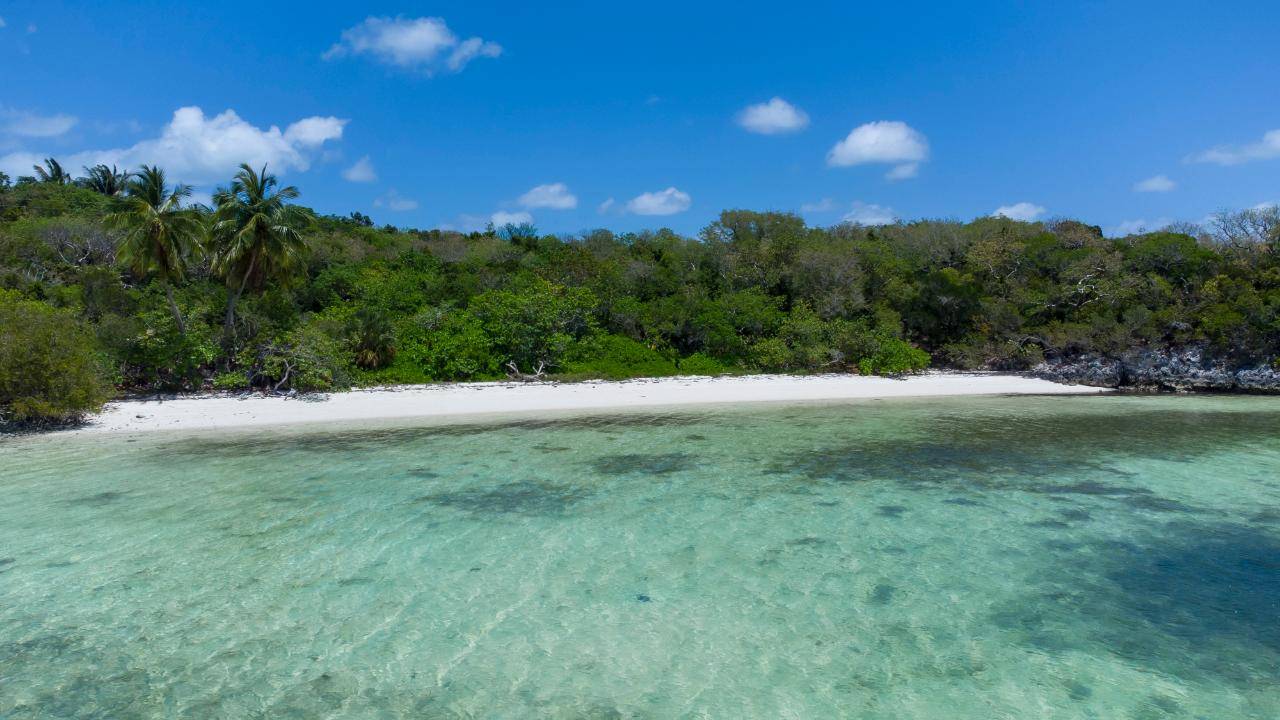 BARDOT BEACH, ISABELLA CL Land Berry-Islands