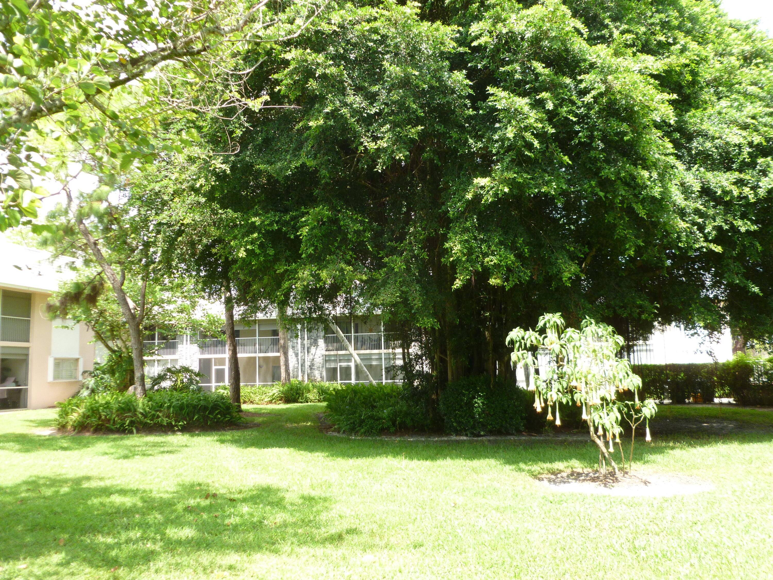 Located adjacent to Jonathan Dickinson State Park, this first floor, corner apartment is furnished if desired.