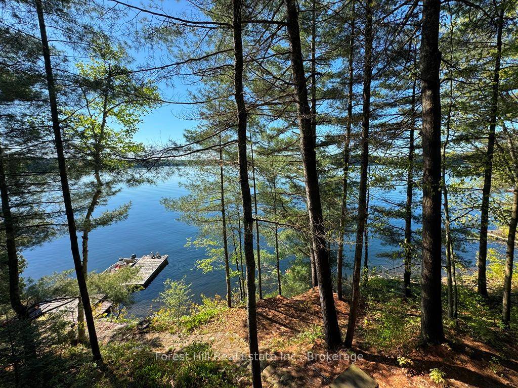 Wilderness cottage with 3 bedrooms, surrounded by forested land of just over one acre.