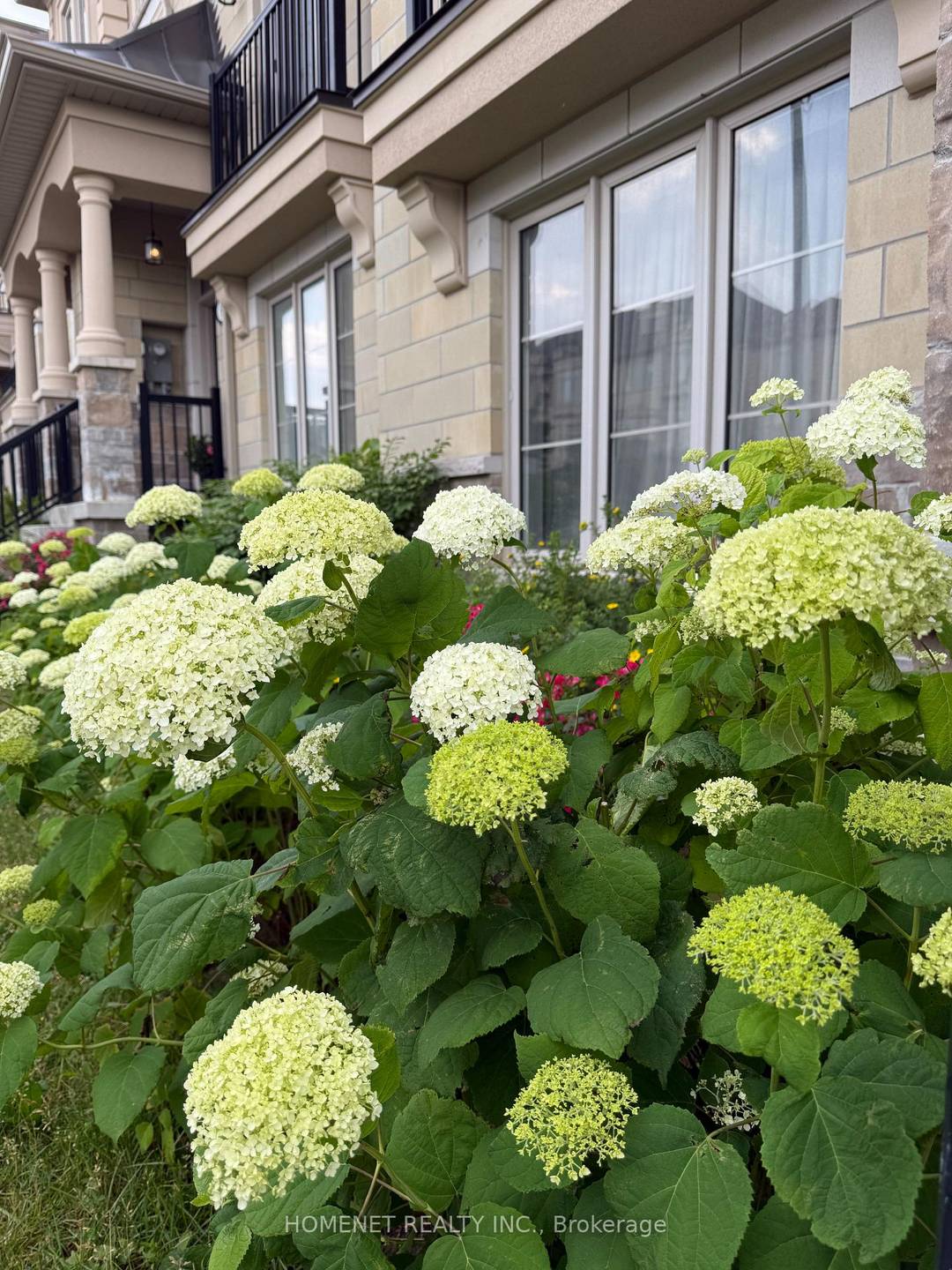 Great location, center of Vaughan, Rutherford and Dufferin, minutes to go station, HW 7, 407, 404, Canada Wonderland, close to major banks, grocery stores, Vaughan Mills, Restaurants.