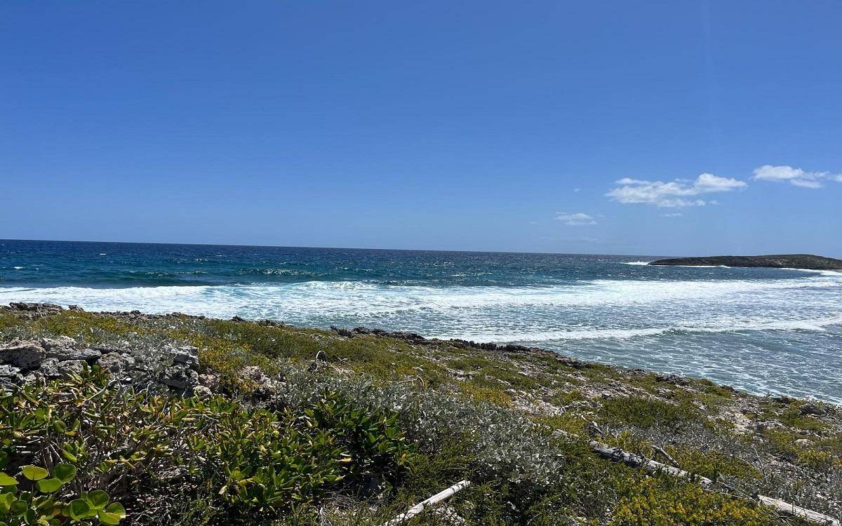 150 ACRES, TAITES Land Long-Island-Bahamas