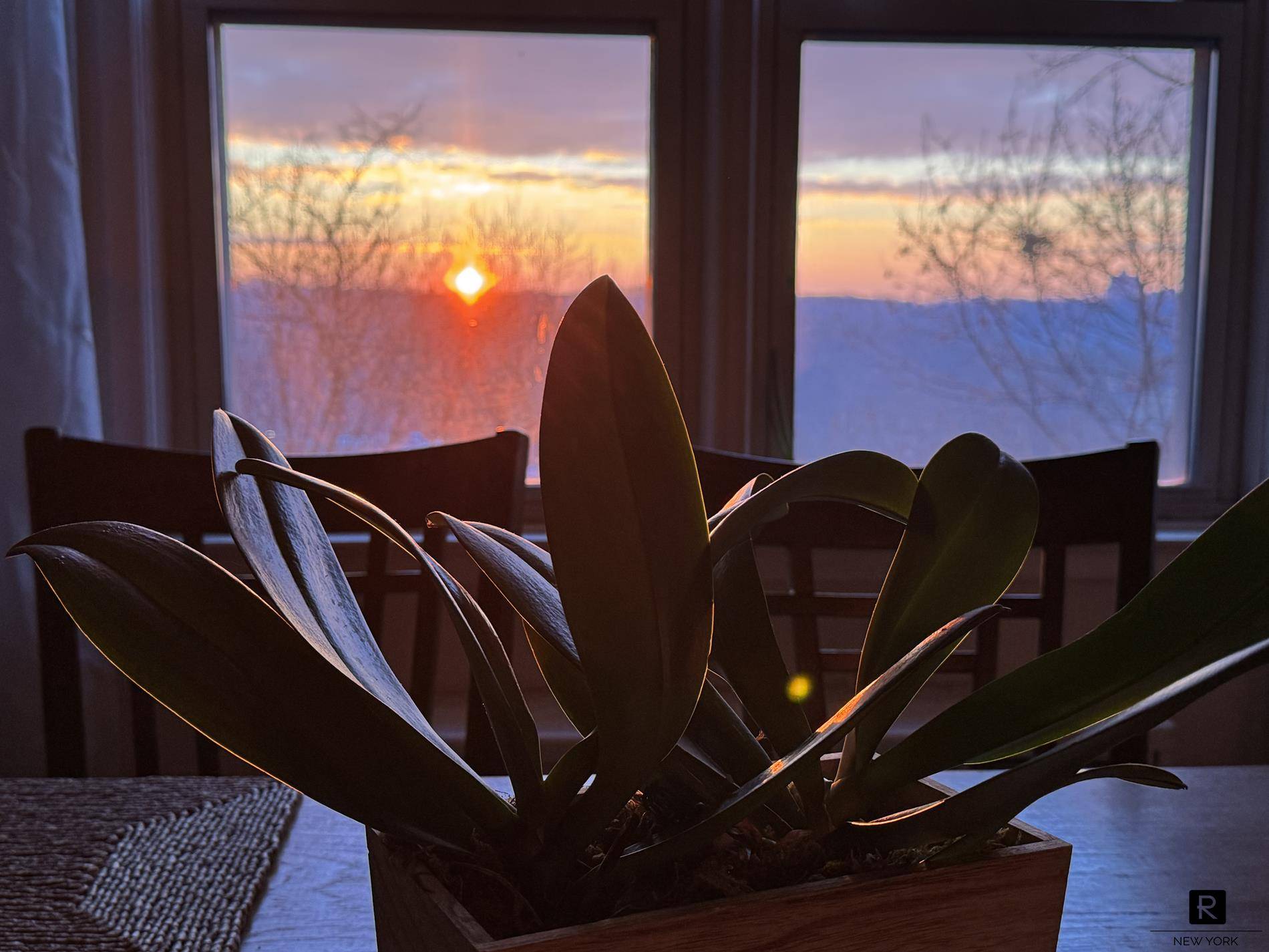 HIGHLIGHTS PRIVATE TERRACEINCREDIBLE NATURAL LIGHTSWEEPING and PEACEFUL VIEWSWALK IN CLOSETOVERSIZED PRIMARY BEDROOMCORNER APARTMENT UNIT Welcome to this spacious, sunlit corner unit with endless views.