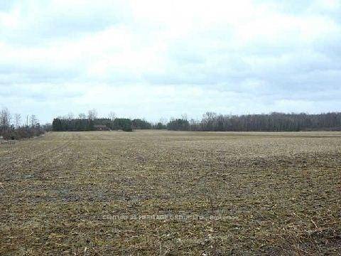 Excellent Investment Opportunity.