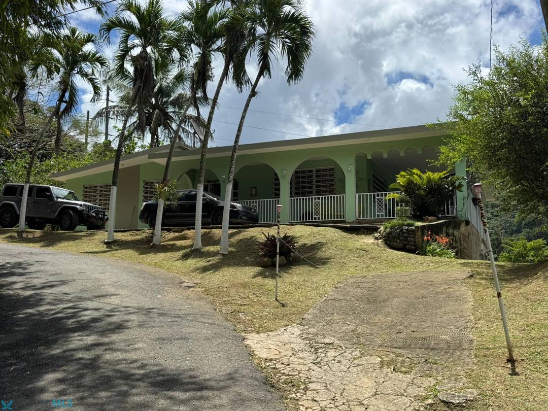 CARR 123 BO RIO ABAJO House Utuado
