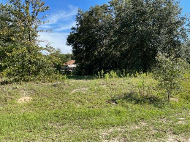 Looking for the perfect spot to invest or build your dream home ?