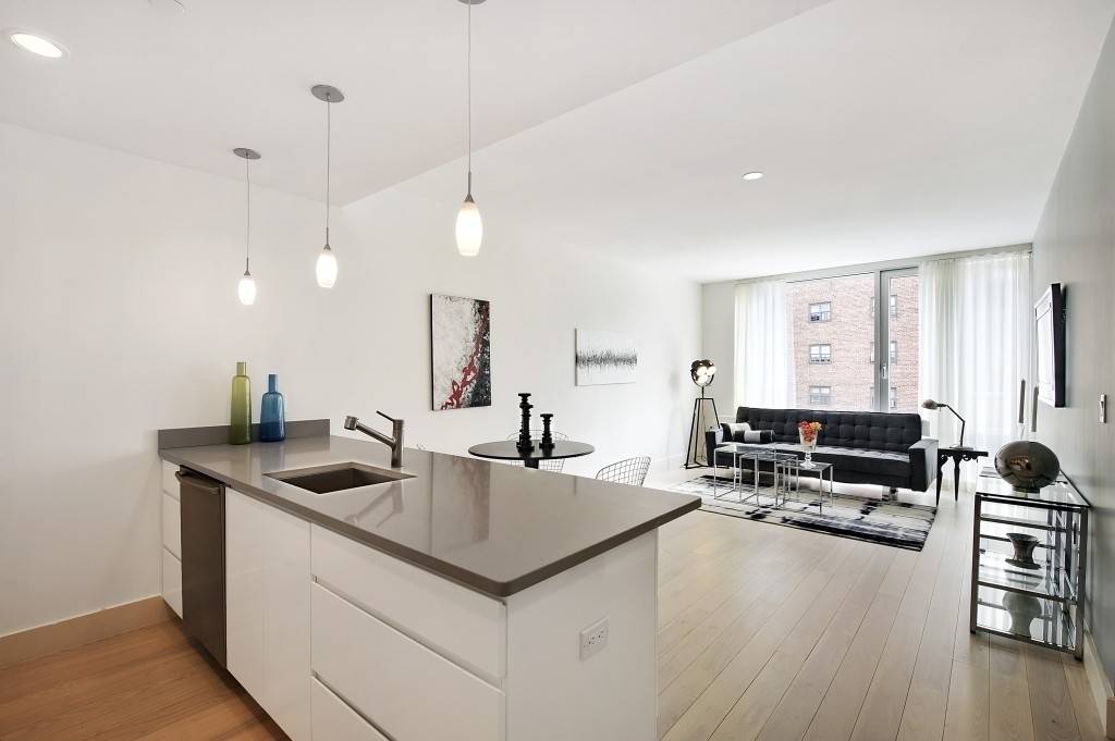 Luxurious and spacious 1 bedroom, 1 bathroom in Dumbo Vinegar Hill.