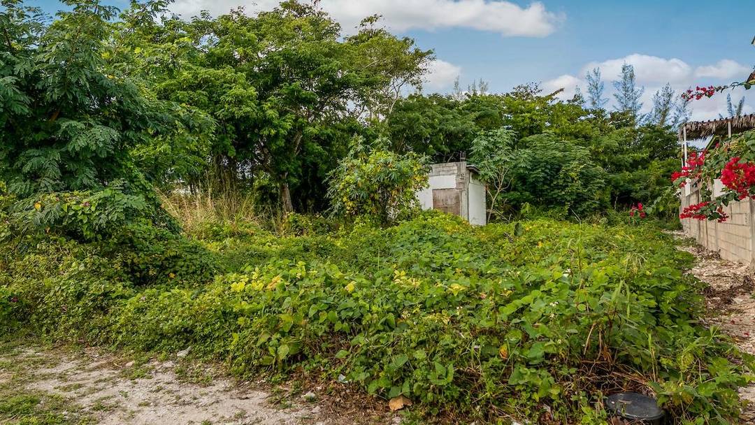 LOT 456 WEST WINDS Land New-Providence