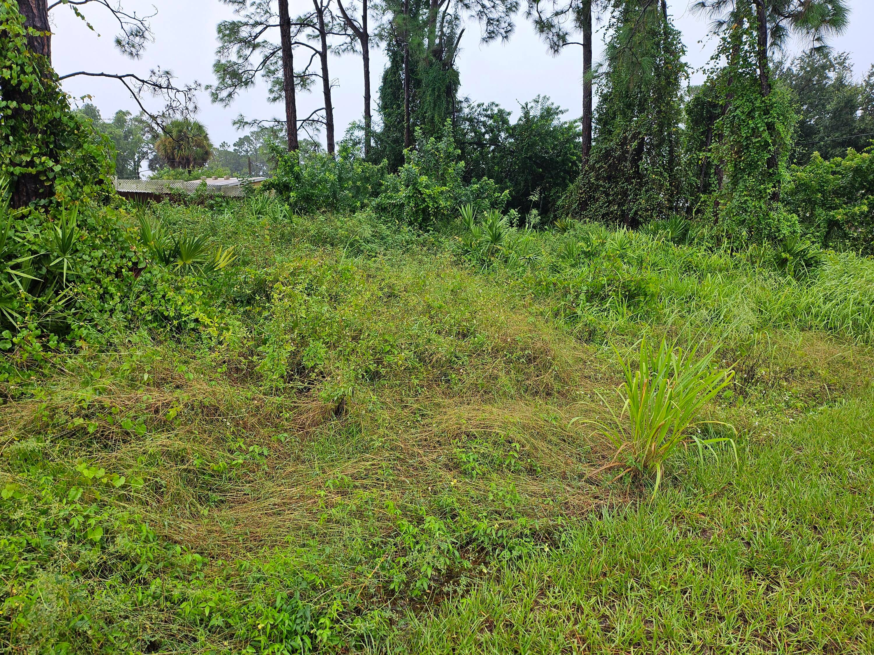 BEAUTIFUL QUARTER ACRE BUILDING LOT IN AREA OF NEW CONSTRUCTION HOMES, CLOSE TO CITY, SCHOOLS, CHURCHES AND SHOPPING !