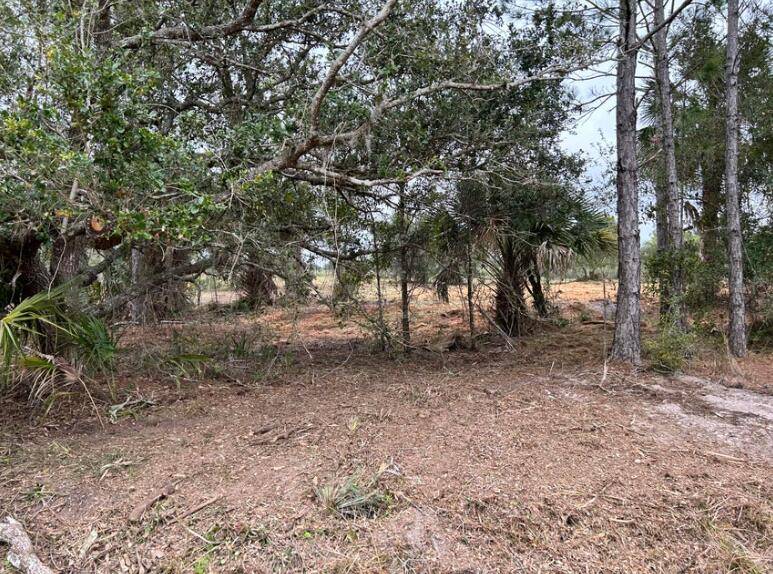 A 1. 25 ACRE PIECE OF LAND SURROUNDED BY TREES OFFERS SO MUCH POTNTIAL PRIVACY, TRANQUILITY AND SPACE TO BUILD OR CREATE SOMETHING SPECIAL.