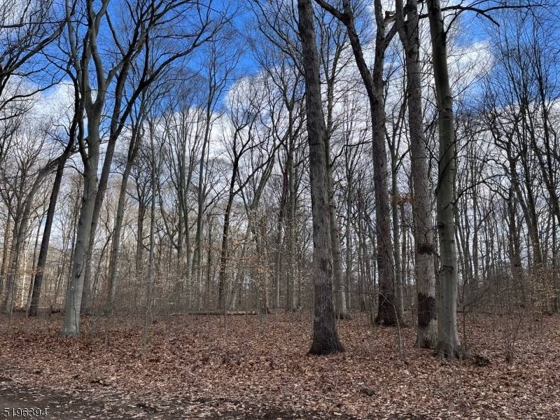 Build your dream home on this exceptional lot, Beeches, part of Singing Wood Farm in New Vernon.