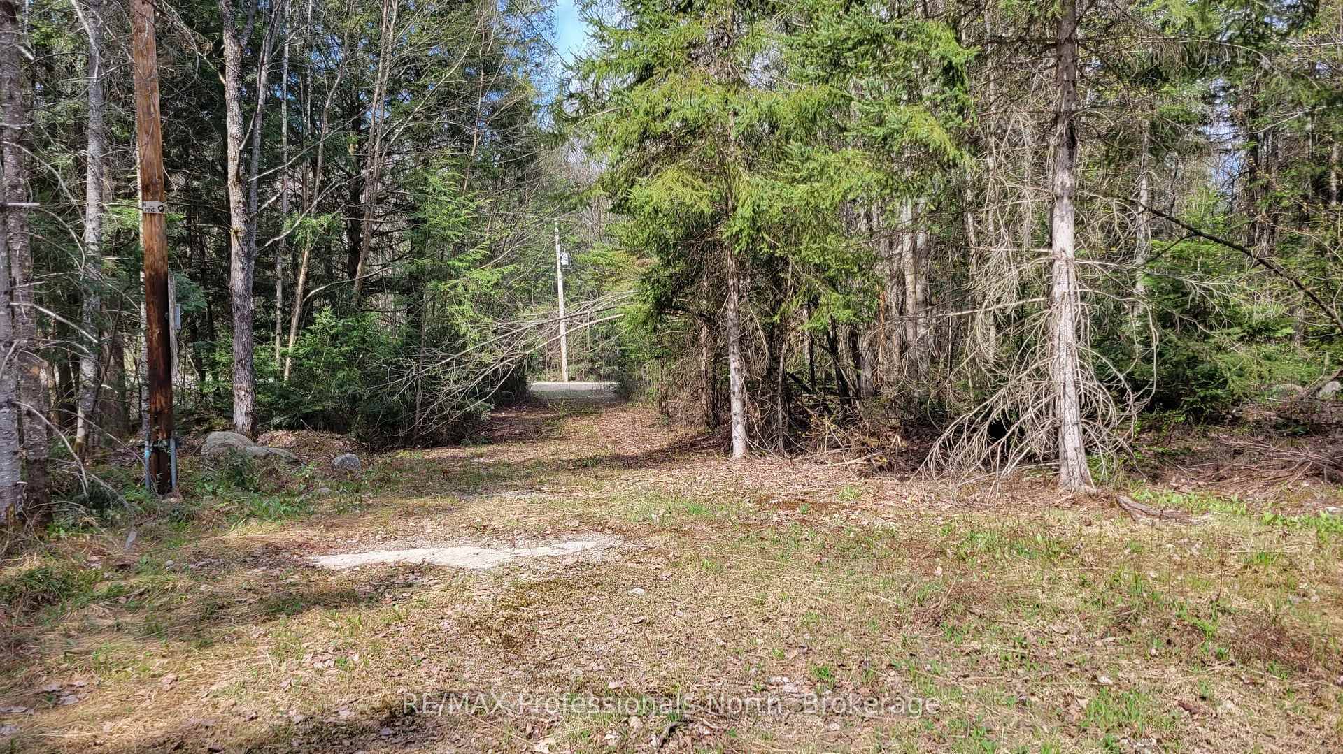 Check out this ideal building lot 25 minutes from the centre of Huntsville.
