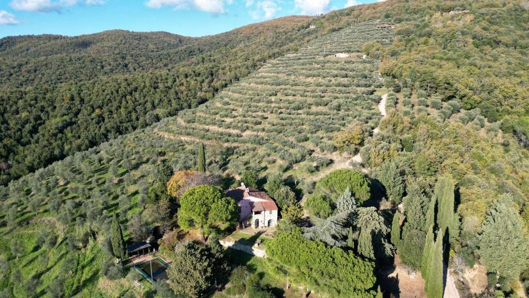 18th-century country house with guest annex, pool and stunning Lake Trasimeno views, set within 3.6 ha of terraced olive groves.