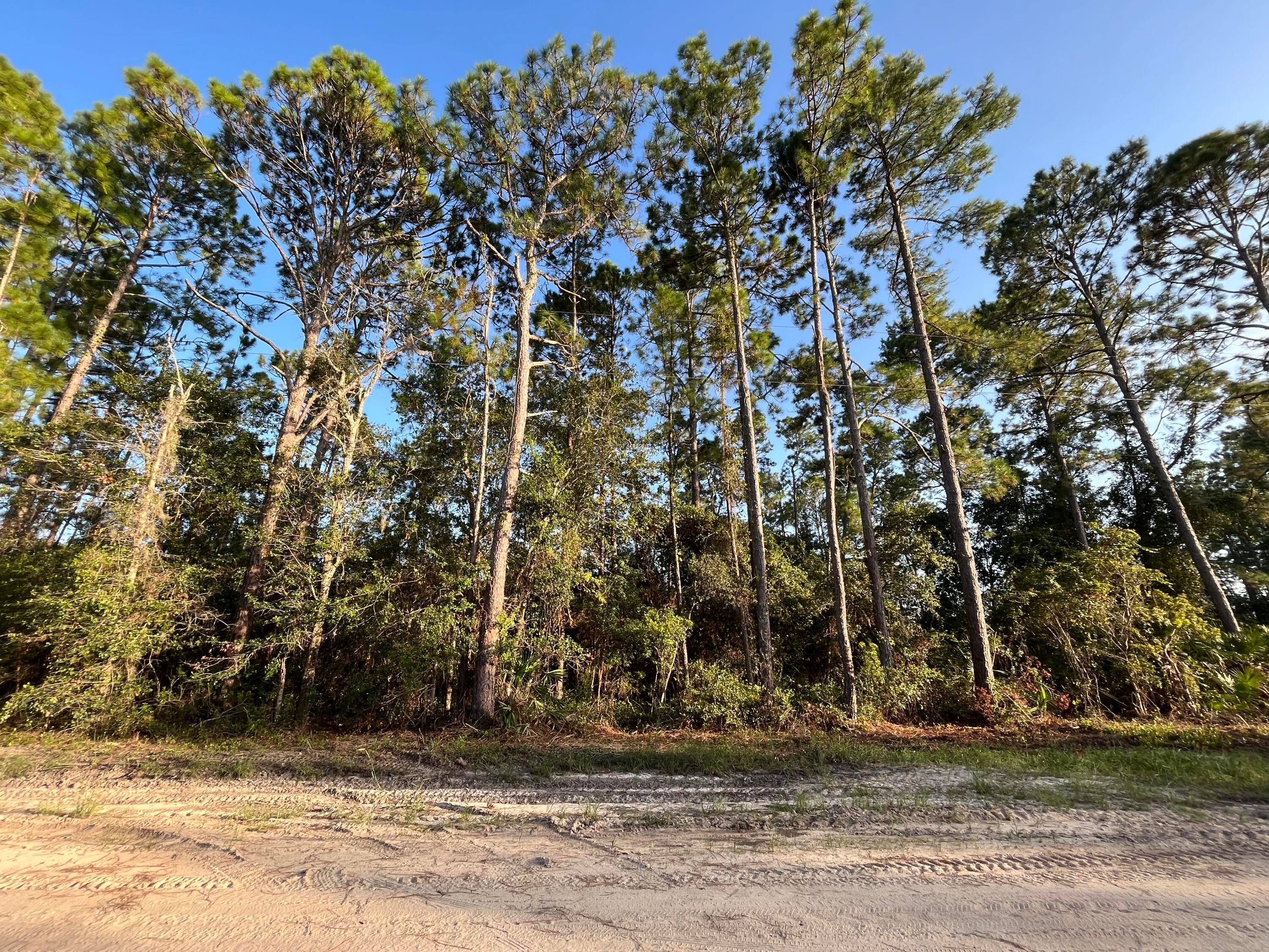 FINANCING AVAILABLE. Escape to the sounds of nature and gorgeous lake views.