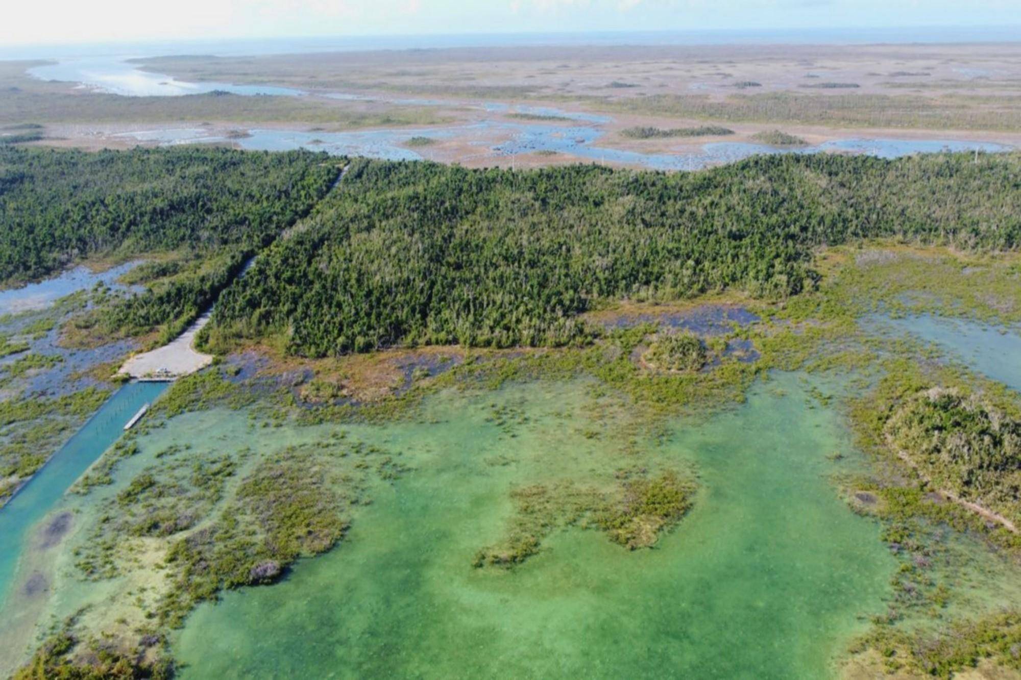 20 ACRES TREASURER CAY Land Abaco