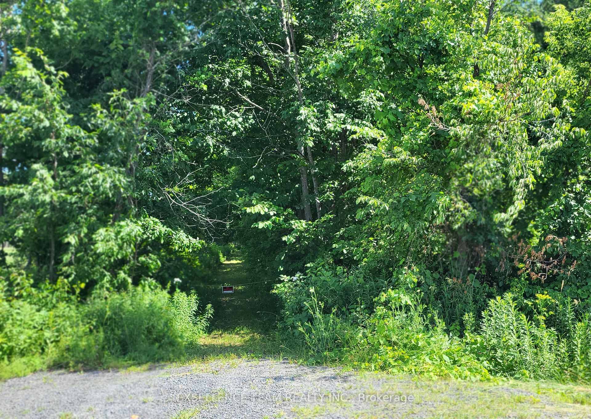 Build your Dreams Here ! This Parcel in South Stormont is more or less 32 Acres and Zoned Rural !