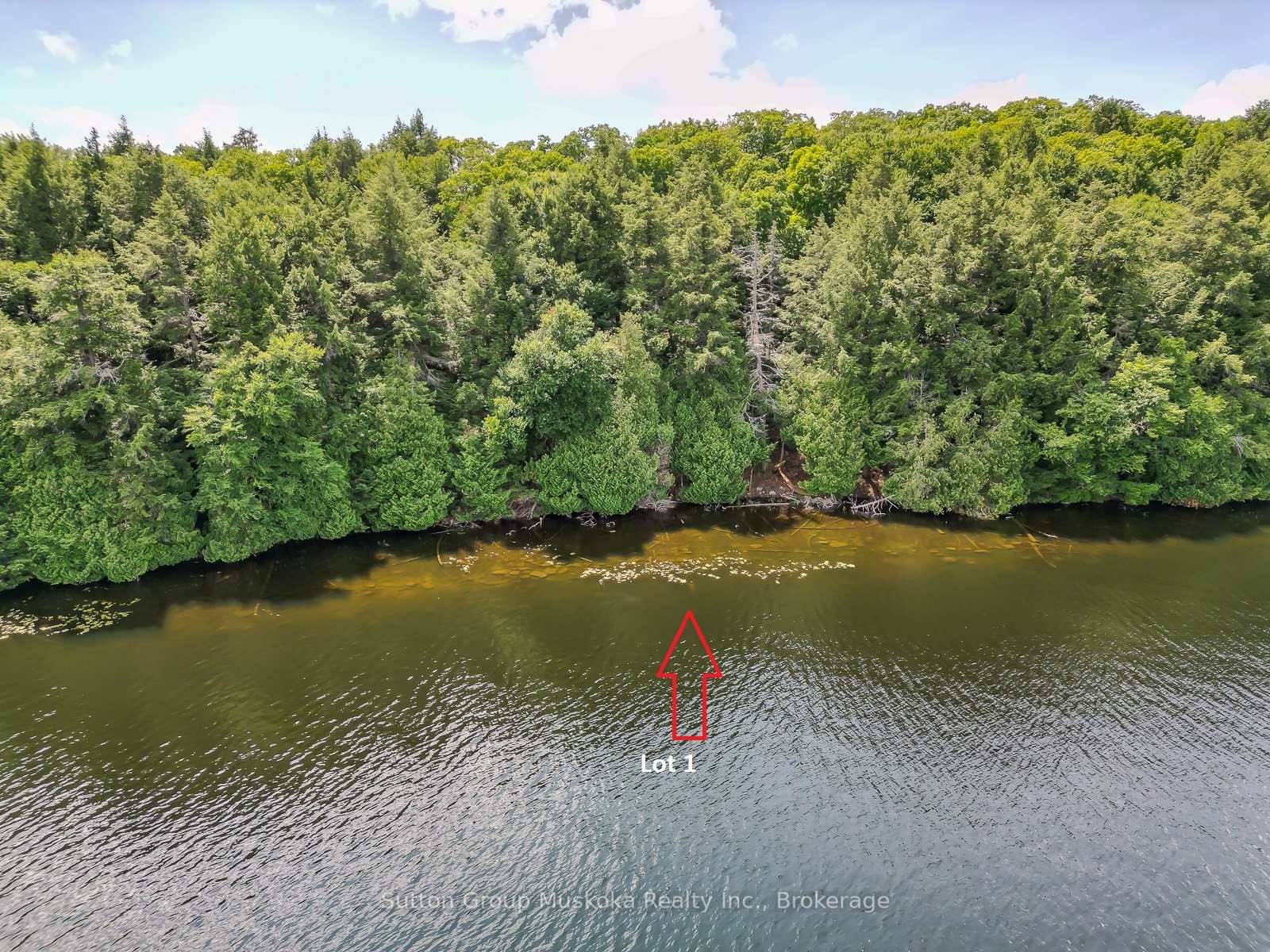 Newly created residential cottage building lot on pristine and peaceful Rebecca Lake Muskoka !