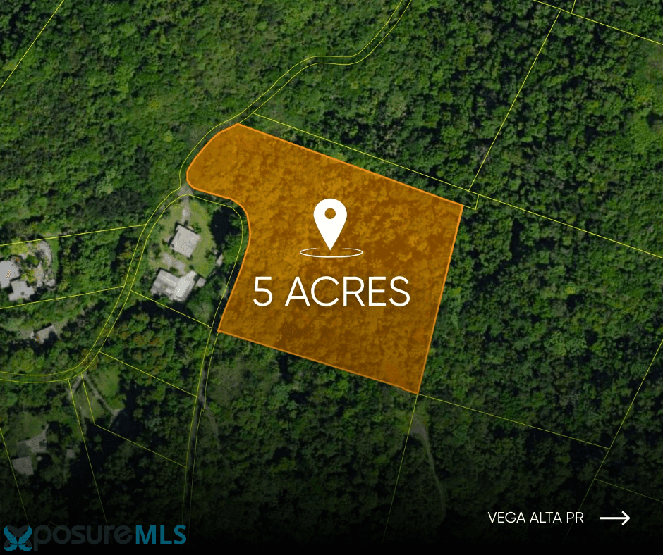 BO CANDELARIA Land Vega-Alta