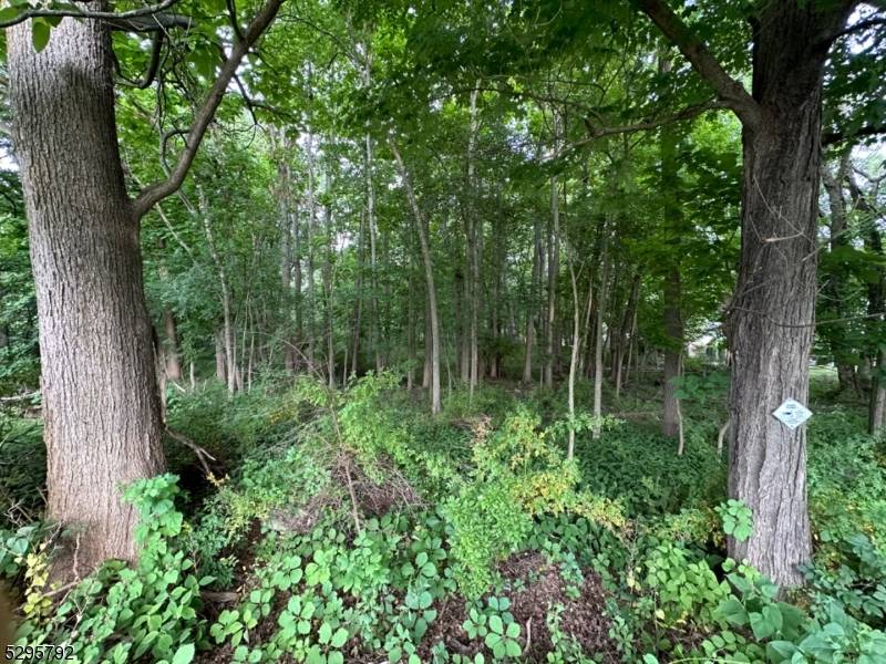 Opportunity to acquire just under 6 acres !