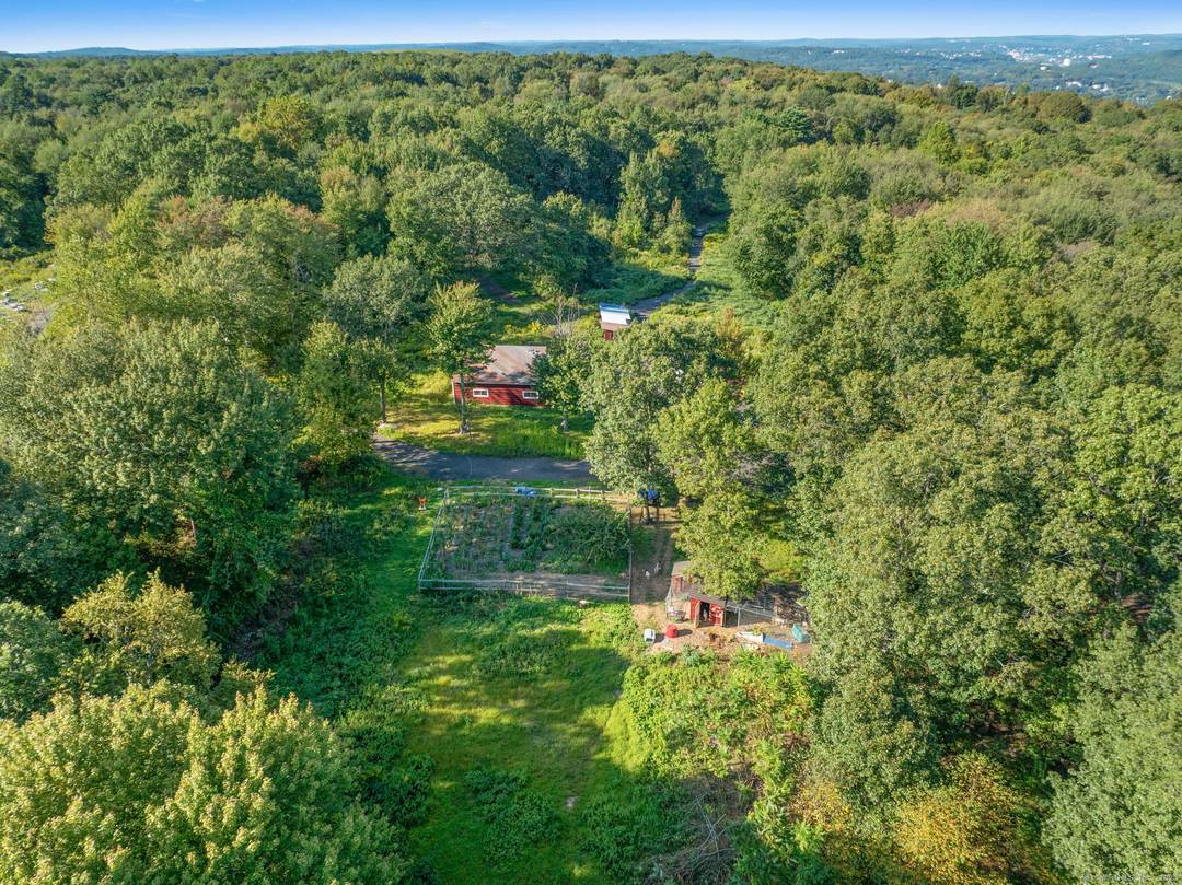 Rarely Available ! 36 acres of square, level, and partially cleared land offering endless possibilities.