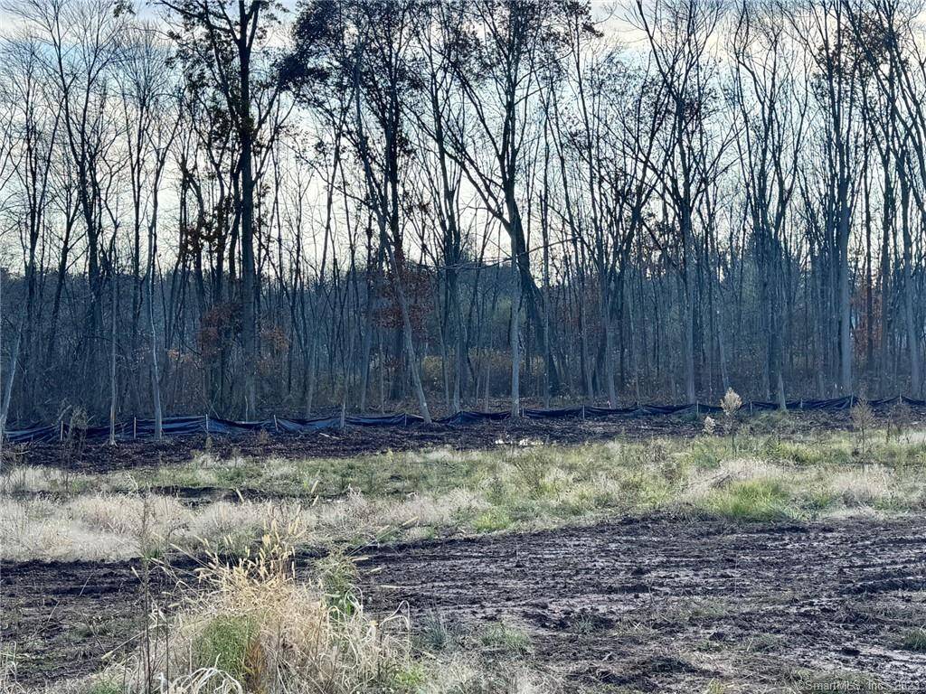 Welcome to an incredible opportunity in the heart of Newington !