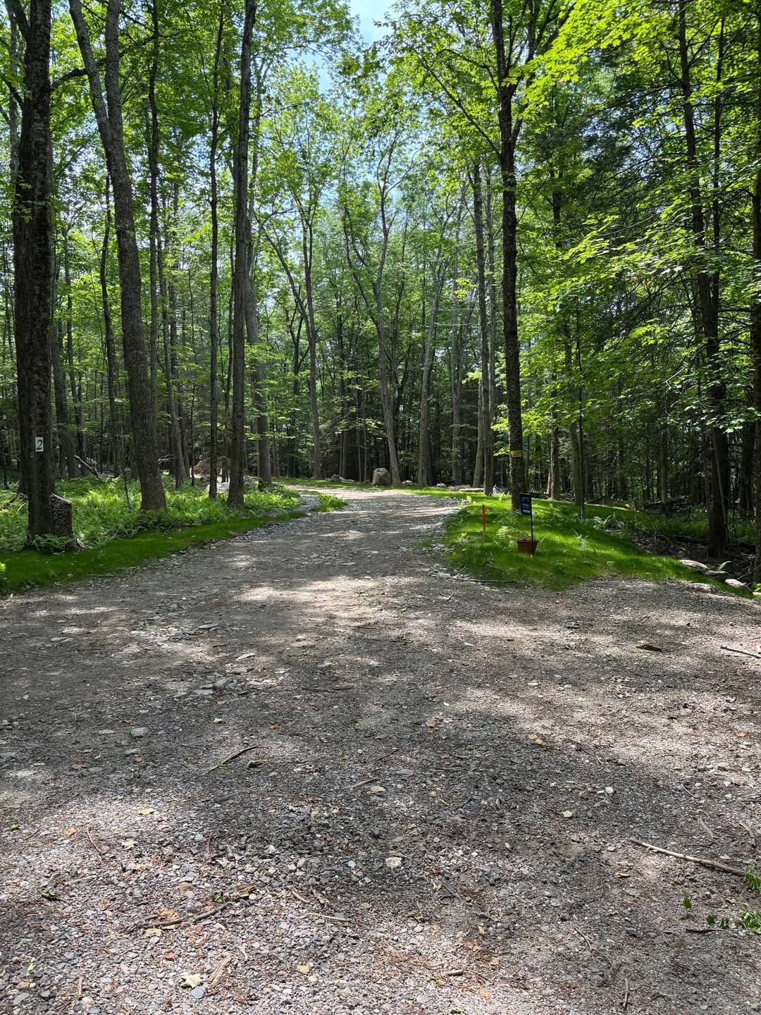 Prime Roxbury Location. Nestled off a picturesque classic country lane, flanked by distinguished residences and just minutes from the vibrant heart of Roxbury Center, awaits an exceptional opportunity.