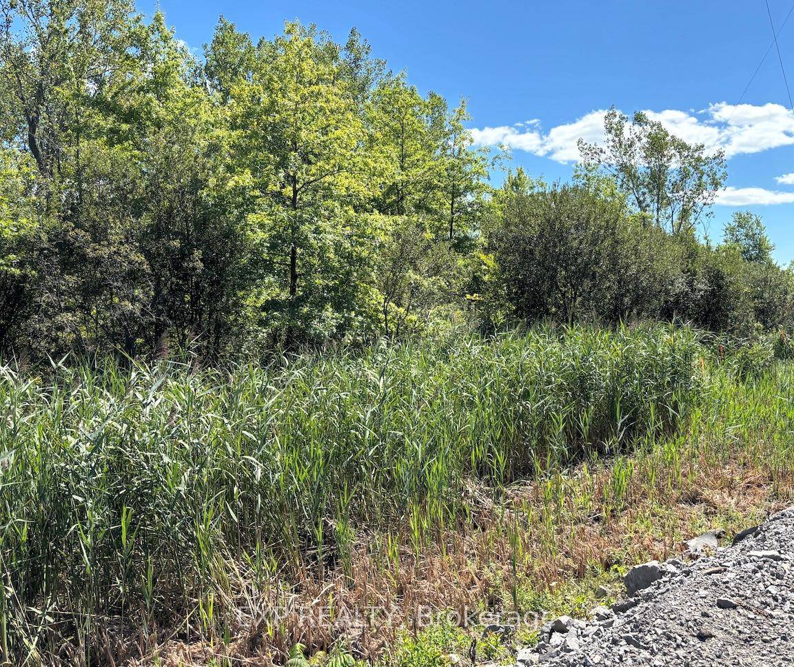 Prime 6. 39 Acre Light Industrial Lot Port Colborne.