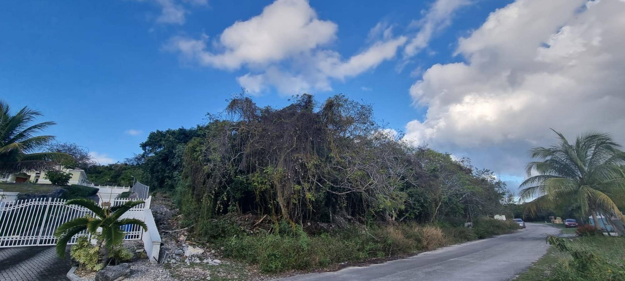LOT #45 SOUTH WESTRIDGE Land New-Providence