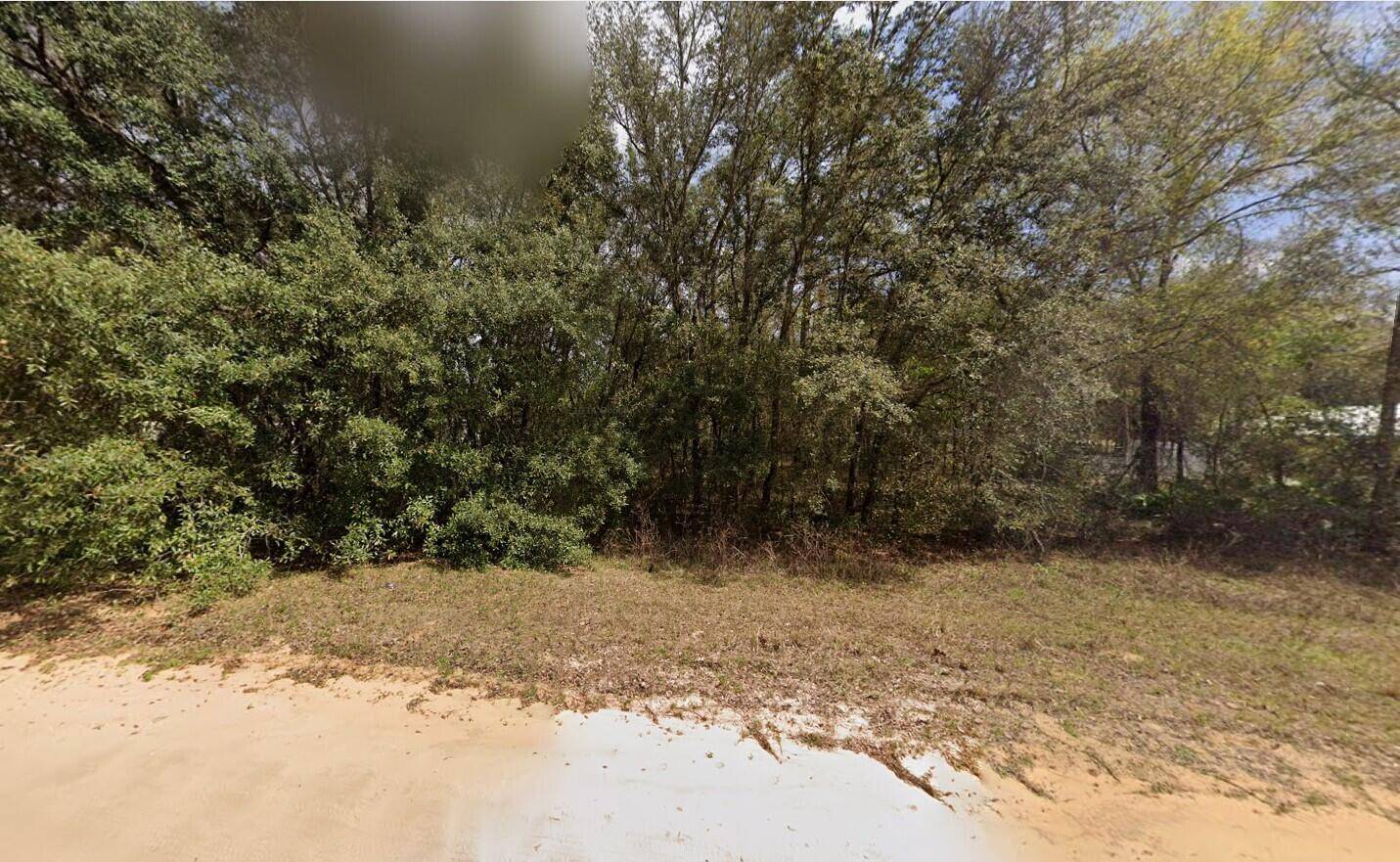 Build or bring your mobile home to this stunning lot in the growing city of Interlachen.