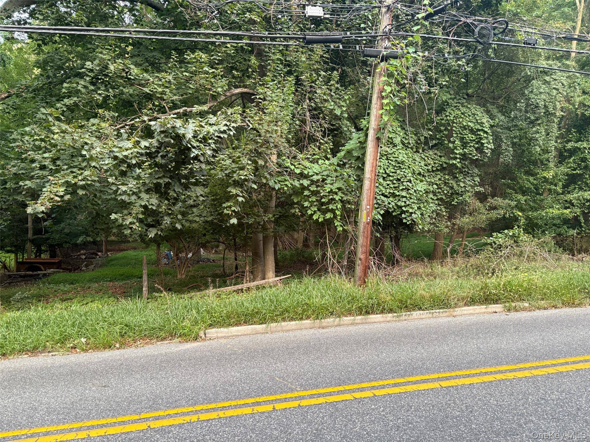 Build the Home of Your Dreams in Port Jefferson Village !