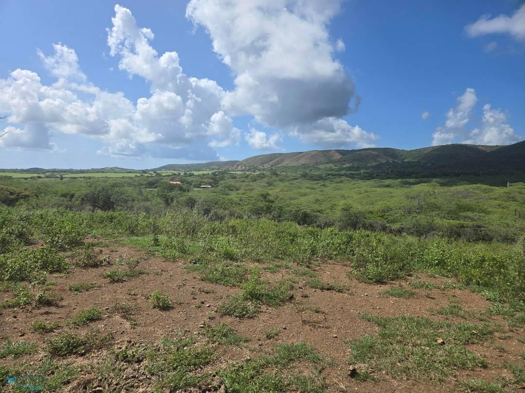 CARR. 303 LLANOS COSTA Land Cabo-Rojo