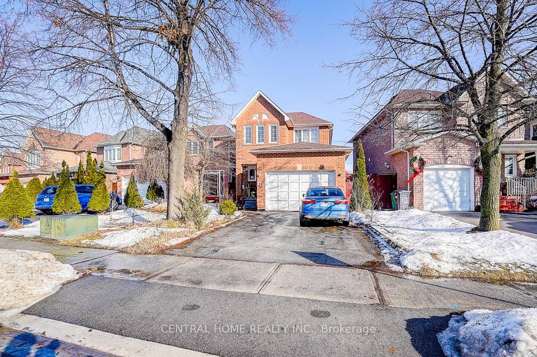 Large and freshly painted 1 1 bedroom basement apartment in a fully detached home, featuring a private separate entrance with no sharing and no interference from the upper level.