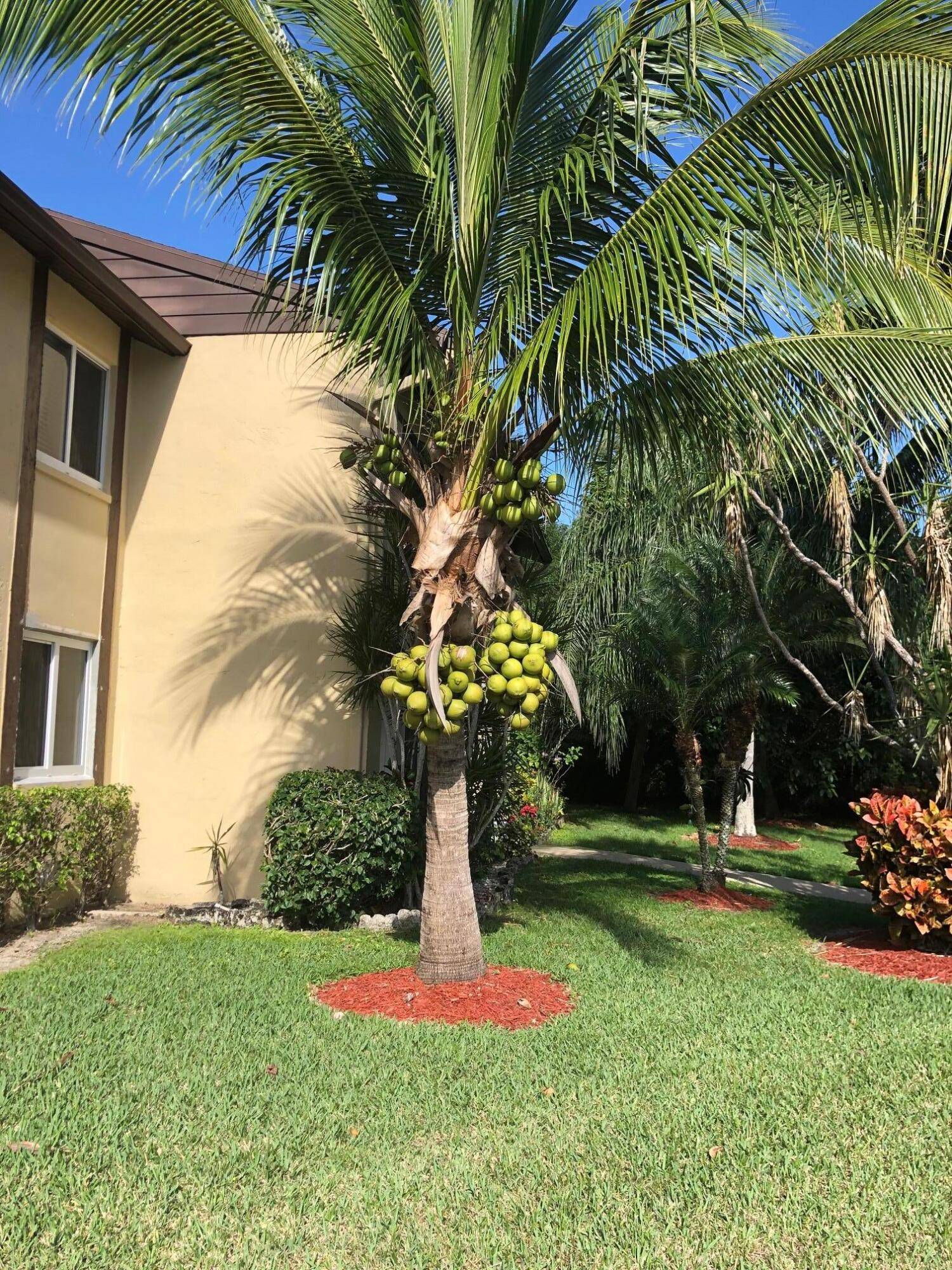 Welcome to Pine Ridge III Condominiums, a dynamic and friendly 55 community !