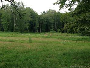 Beautiful level property with approved seven bedroom septic.