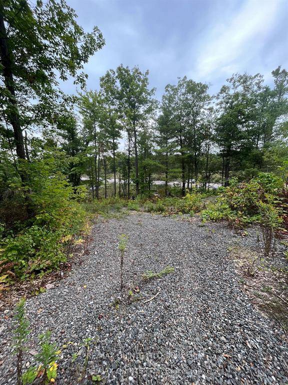 Don't miss out on this triangular shaped lot offering just over 5 acres off of Highway 7.
