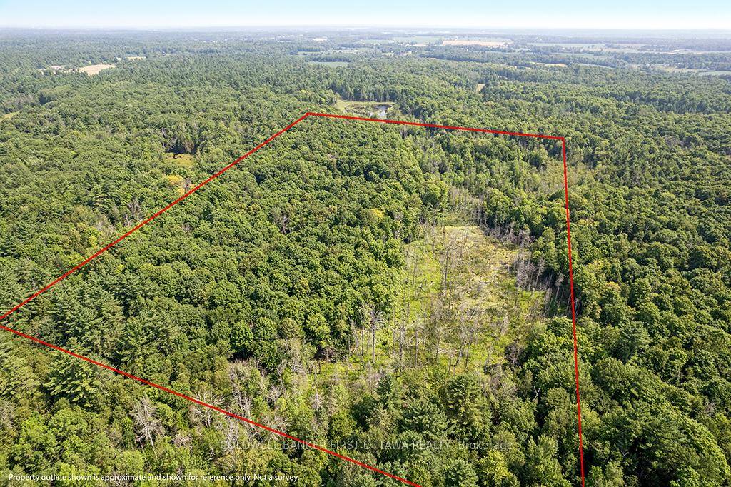 Hunters Paradise 44 Acres of Untouched Wilderness.