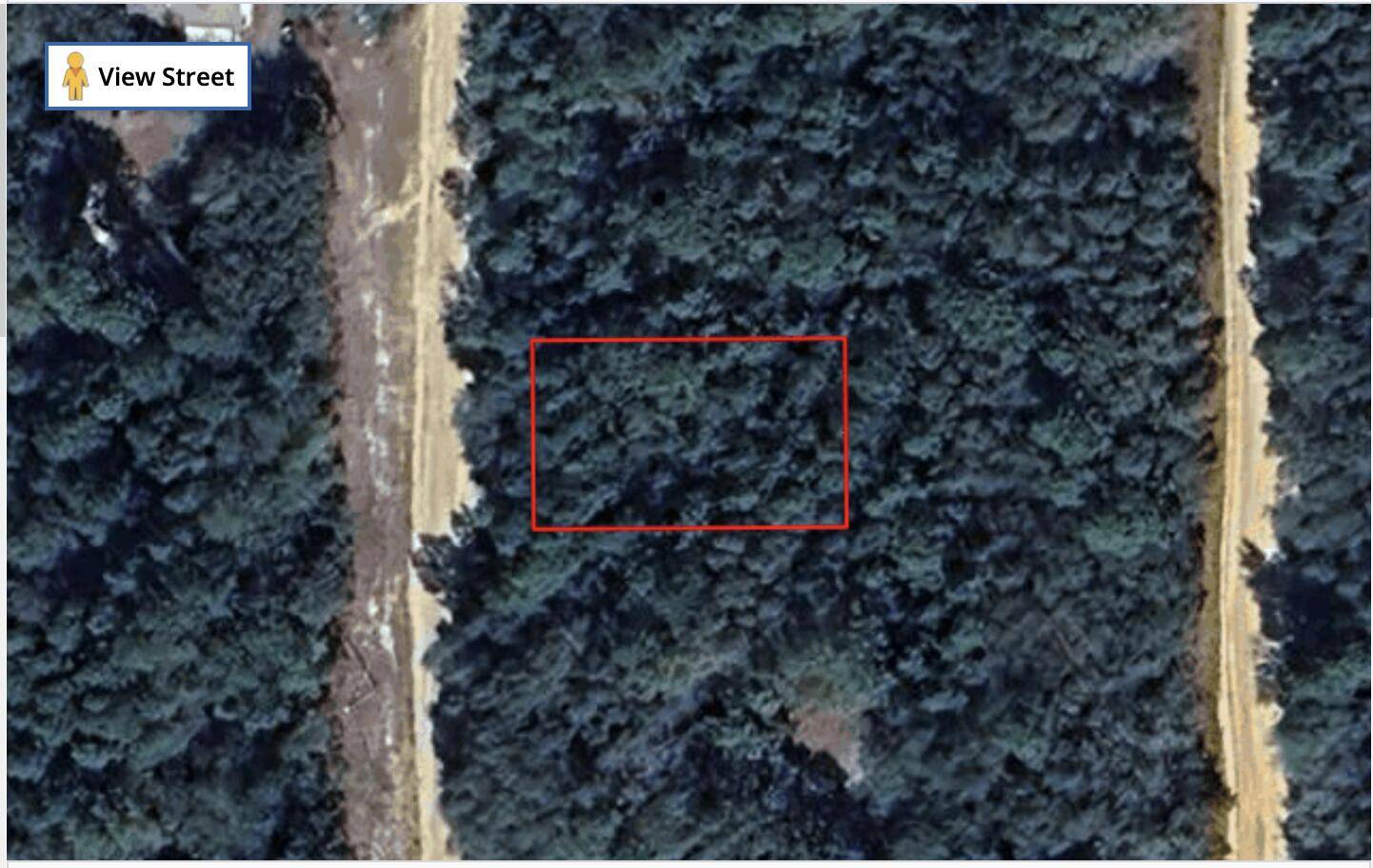 Spacious Lot in Interlachen, FL No HOA !