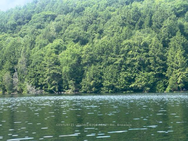 PARADISE AWAITS ! Your opportunity to own this virgin property with 170' of waterfront on the pristine Island Lake has arrived.