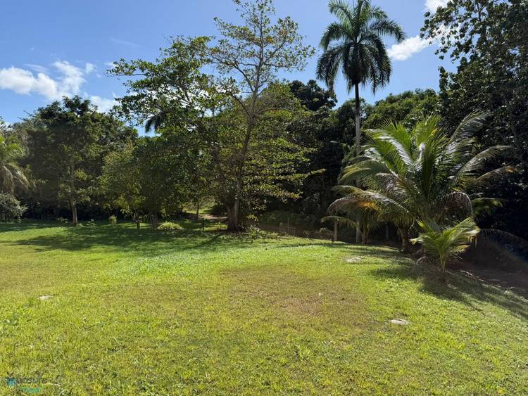 CARR 4412 Land Aguada