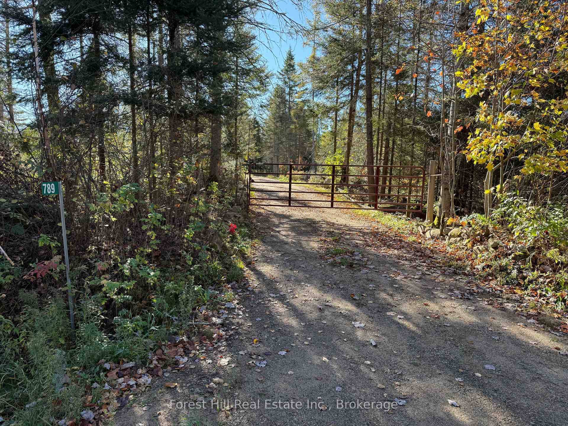 This beautiful, level and completely dry property is ready for your dream build, whether its a home, cottage, or seasonal retreat.