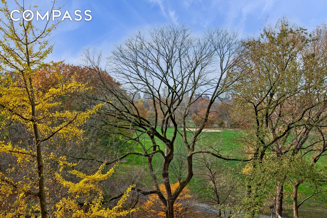 DIRECT CENTRAL PARK VIEWS !