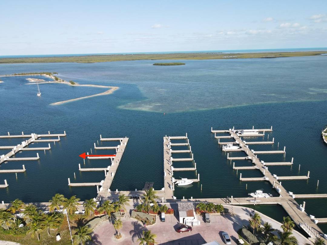 BIMINI BAY DOCK SLIP Dock Bimini