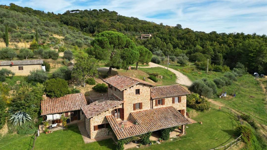 Authentic farmhouse of 890 sqm with pool, 6 flats, annexes and 7 ha of land with vineyard, woodland and 600 olive trees in Città della Pieve, Umbria.