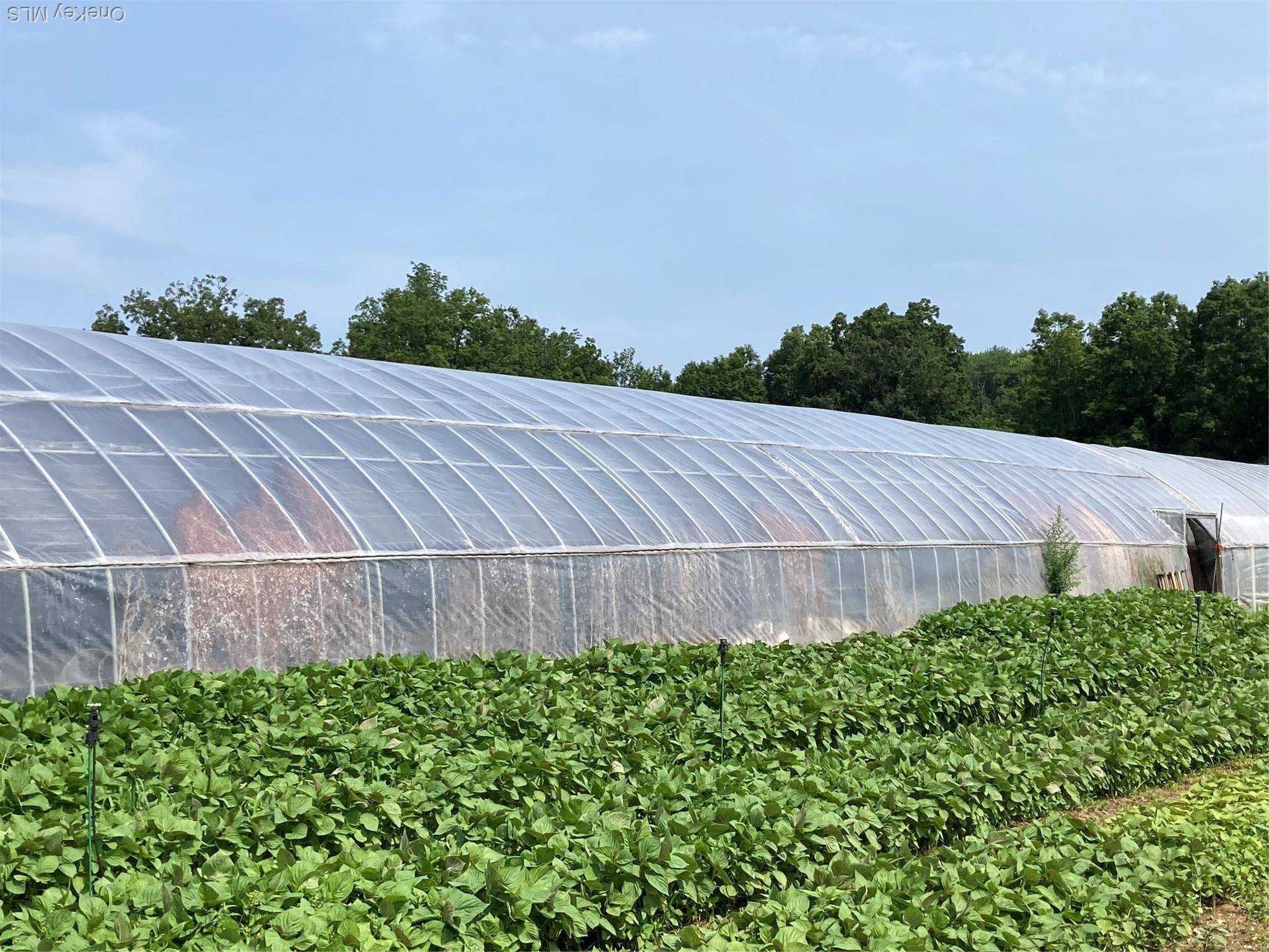 Zoned RA 5 32. 5 Acres Homestead, Agricultural.