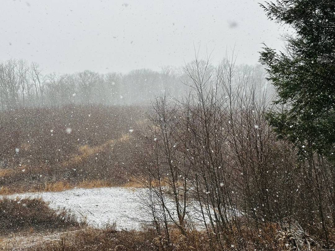 26 Acres of Unique Land These 3 parcels are found in a picturesque rural setting, the expansive 26 acres provides a unique opportunity previous site work completed years ago.