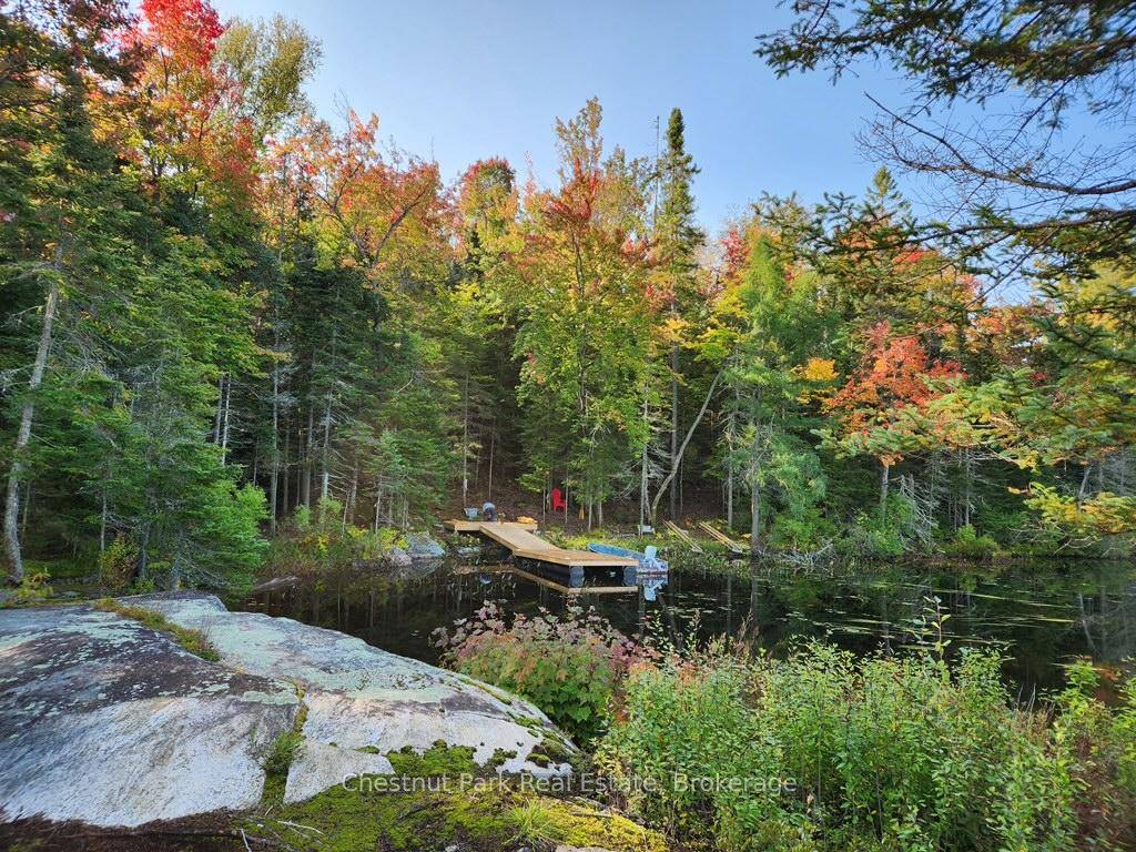 Welcome to this off grid, water access no road getaway property on peaceful King Lake.
