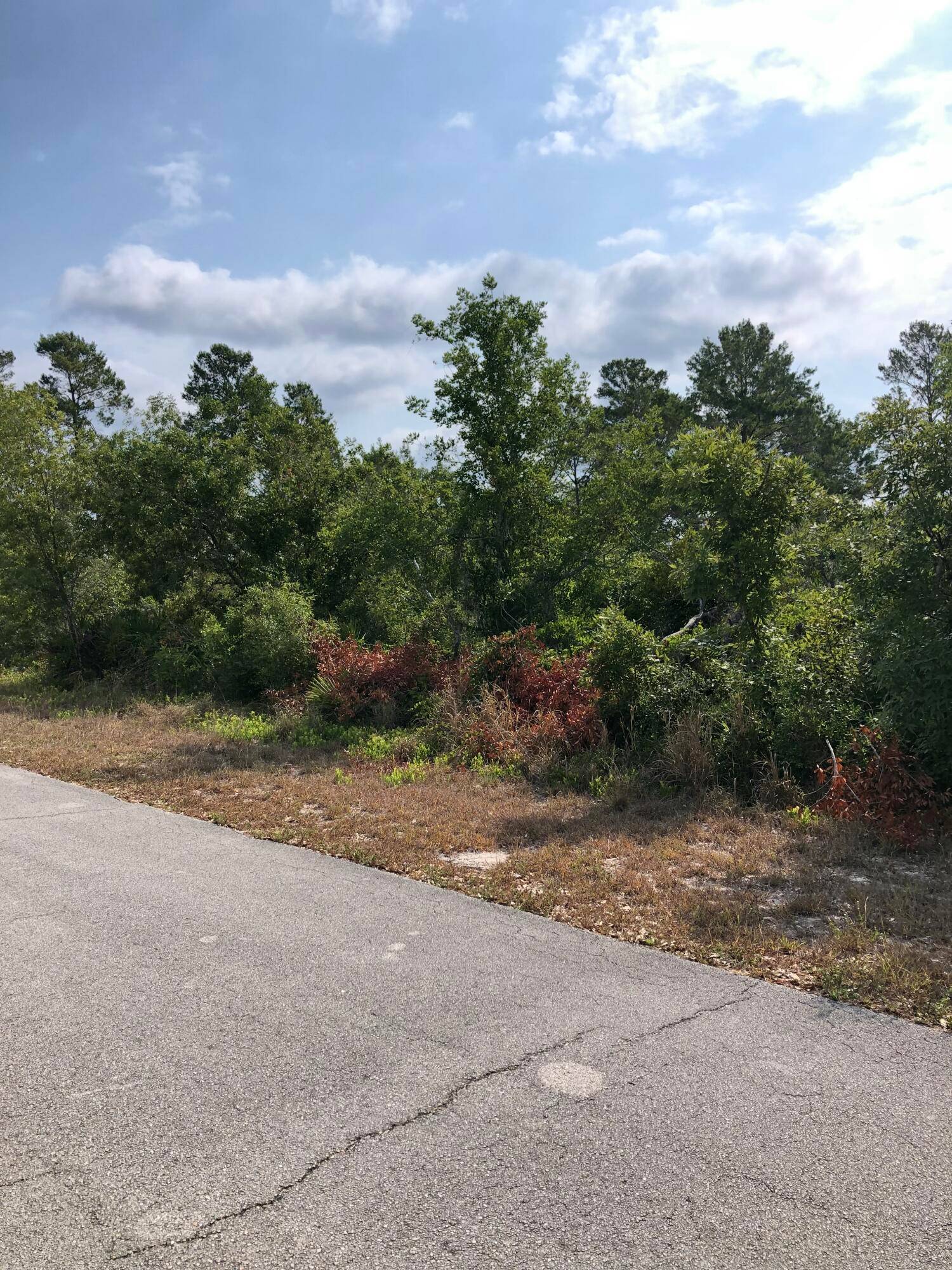 Discover this opportunity to build your dream home, second home or hold as an investment in the secluded and serene Sylvan Shores community in beautiful Lake Placid, FL.