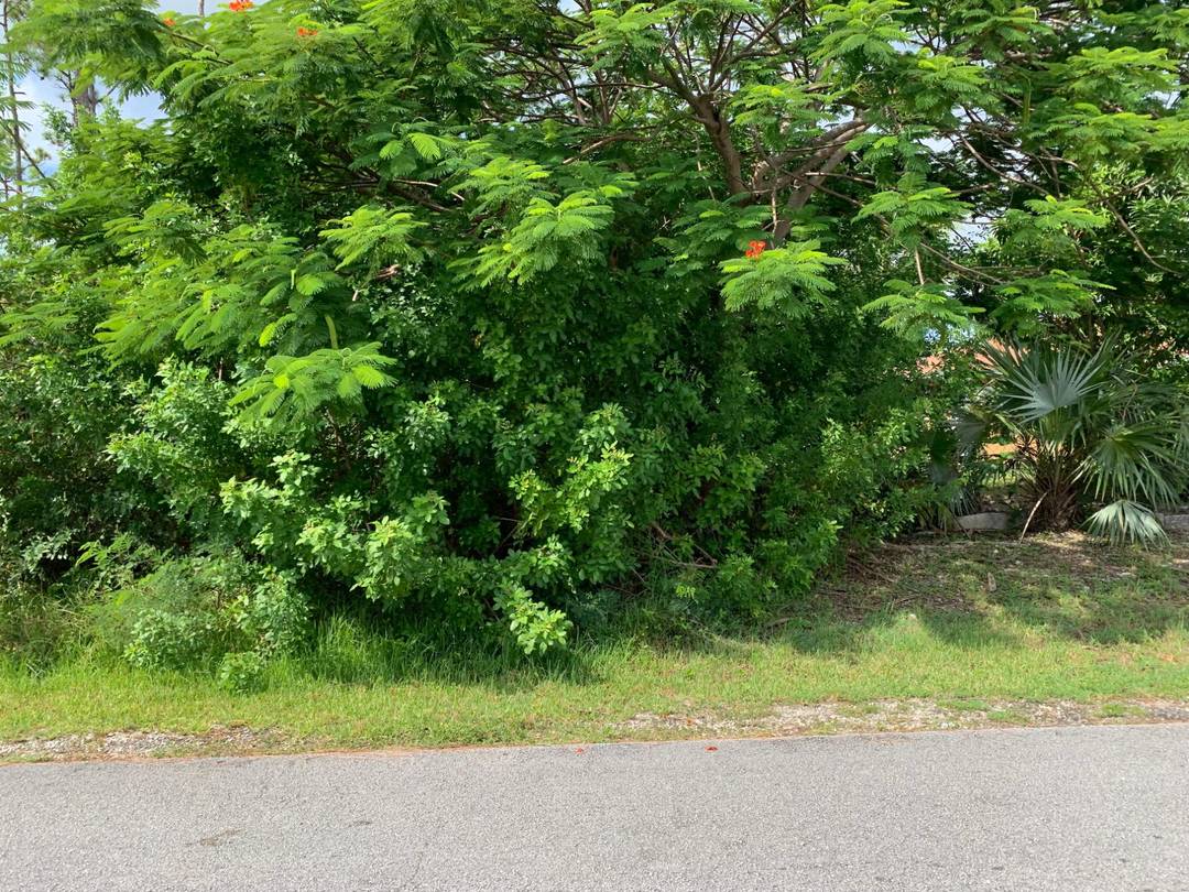 WREXHAM DRIVE Land Grand-Bahama-Freeport