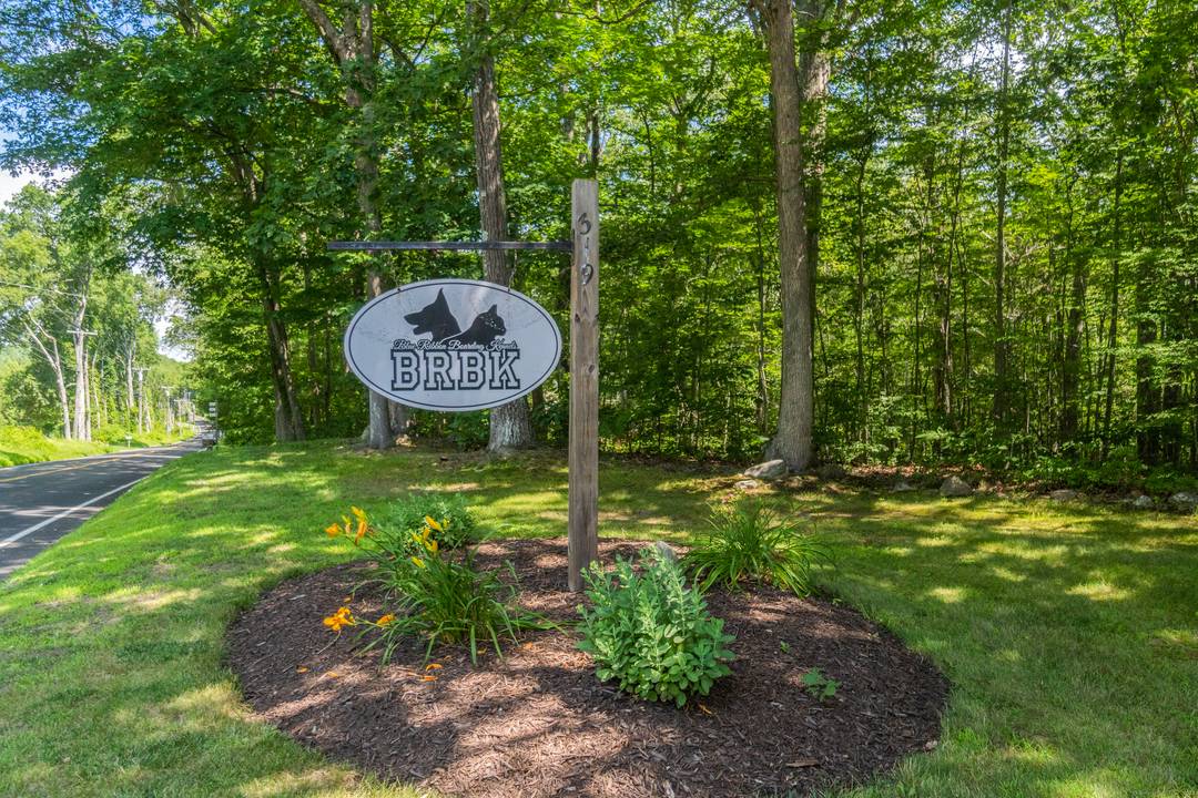 BLUE RIBBON BOARDING KENNEL AND DAY CARE Represents a Singular Opportunity to Reside on a Park Like Lot in Bethlehem, Ct, where there are no Zoning Ordinances while Operating a ...