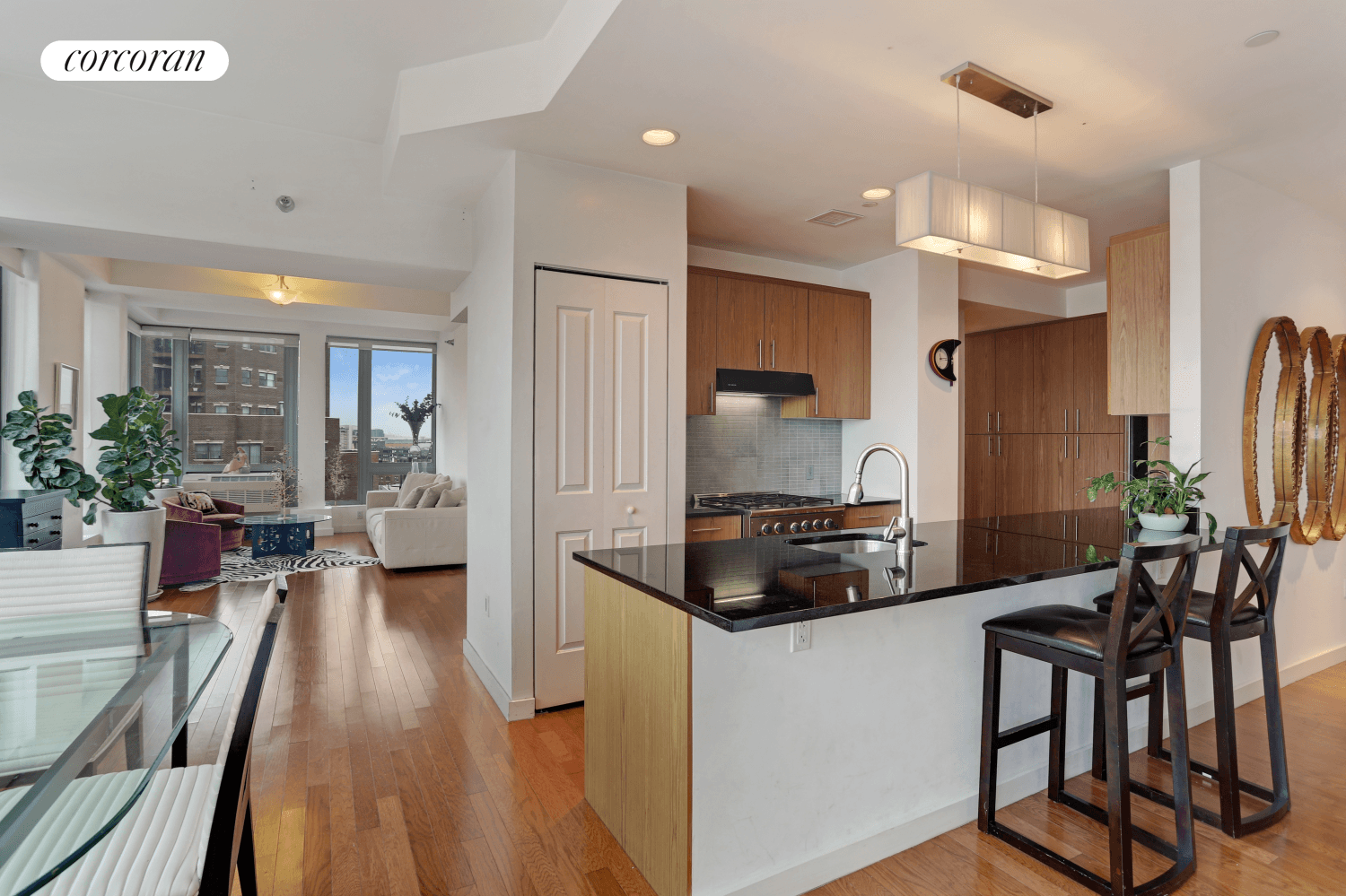 This beautiful, spacious apartment in LIC is a rare find.