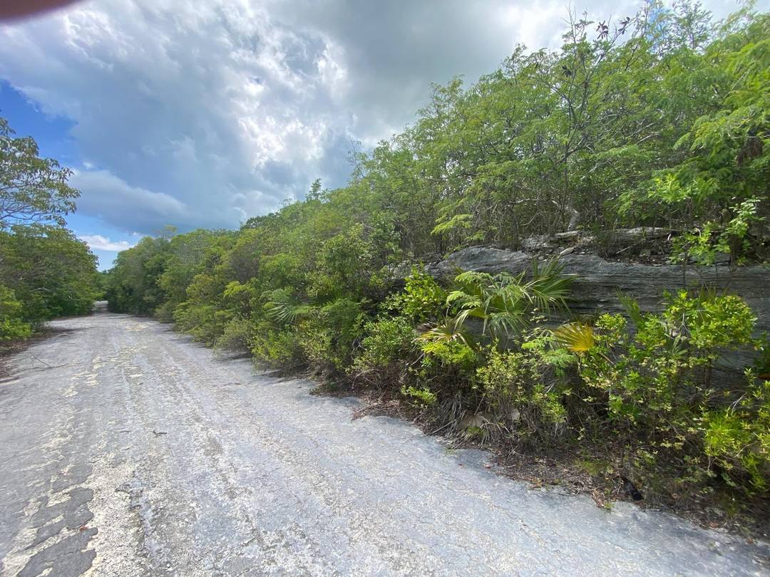 STELLA MARIS, LONG ISLAND Land Long-Island-Bahamas